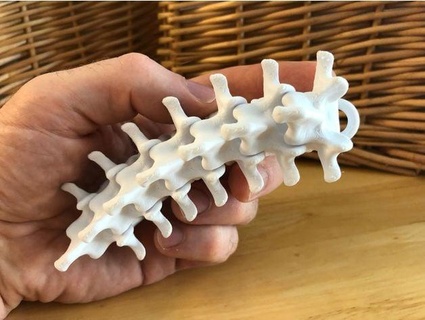 mini articulating spine keychain davemakesstuff 3d print model - Mito3D