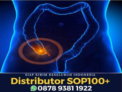 obat herbal radang usus untuk anak utsukushhii afc wa 0878 9381 1922 caraminumutsukushhii 3d print model - Mito3D