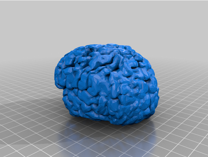 Gehirn barkalow117 3d print model - Mito3D