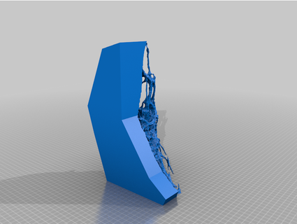caduto albero raccoo 3d print model - Mito3D