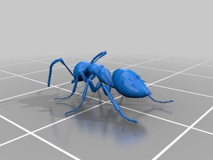 model ant ants pets 3d print model - Mito3D