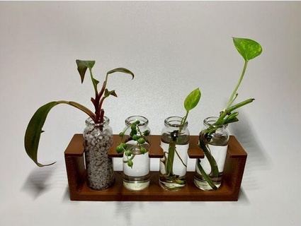 plant pot propagator support lady clorofila 3d print model - Mito3D
