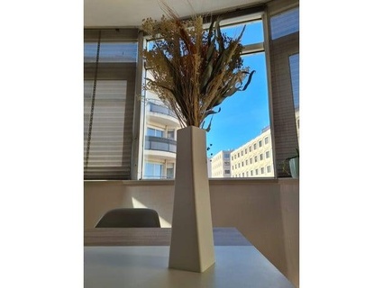einfach spiralförmig Vase chavant fou 3d 3d print model - Mito3D