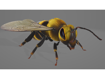 abelha benjaminyde 3d print model - Mito3D