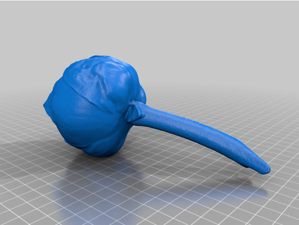 lotus flower generated revopoint pop 3d print model - Mito3D