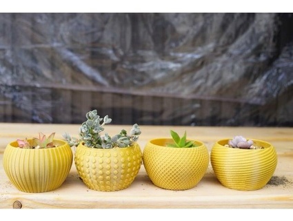 tiny vase mysterytree 3d print model - Mito3D