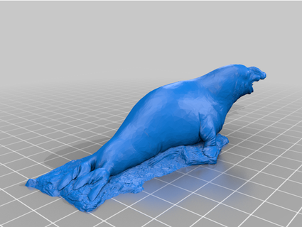 southern elephant seal natural history museum vienna enzi1984 3d print model - Mito3D