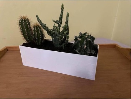 planter three cactus dziarskimelonik 3d print model - Mito3D