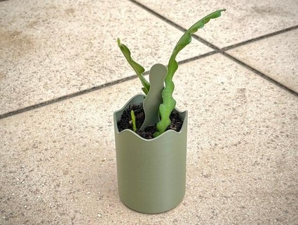 zigzag cactus planteur loiseaucreatif 3d print model - Mito3D