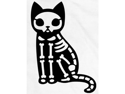 2d esqueleto gato longquan 3d print model - Mito3D