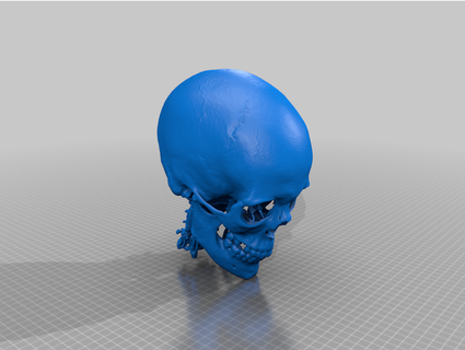umano cranio nucleo giuramento 3d print model - Mito3D