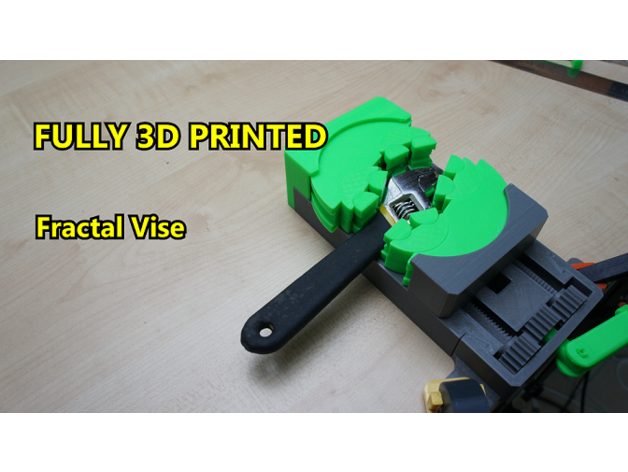 pleinement 3d imprimé fractale vice petit tomato18 3D print model - Mito3D