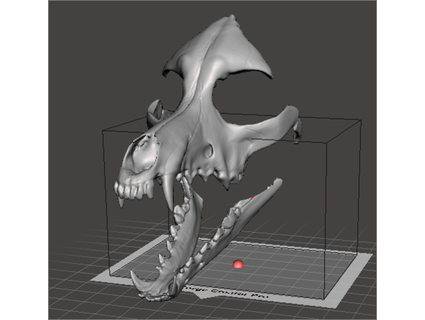 dog skull mask zabacostumes 3d print model - Mito3D