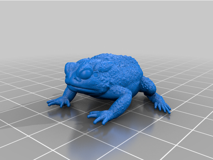 resting toad xuuya 3d print model - Mito3D