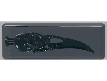 negative space raven skull joio 3d print model - Mito3D