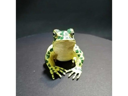 toad generated revopoint pop 3d print model - Mito3D