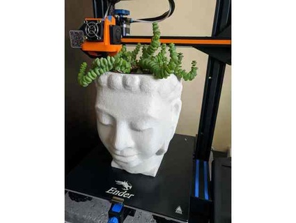 Buddha Kopf Pflanzer kocz 3d print model - Mito3D
