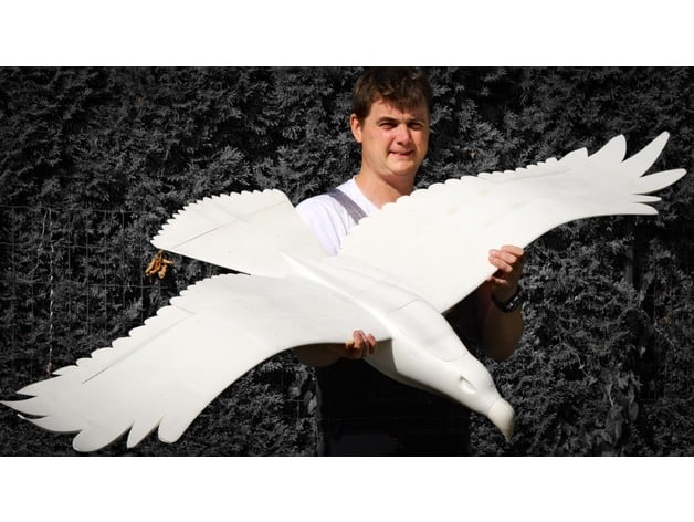 rc 3d imprimible águila eléctrico motor planeador volantes 3D print model - Mito3D