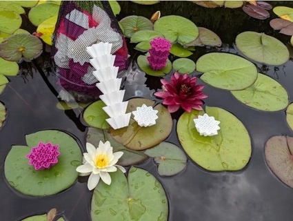 water lilly pond filter media 3d-mon 3d print model - Mito3D