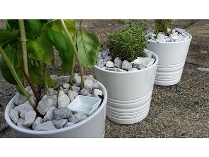lightweight self-watering kit ikea muskot 9 cm plant pot designedbysheltie 3d print model - Mito3D