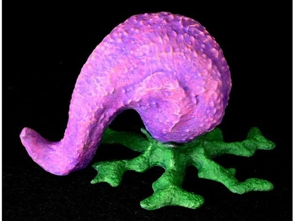 alieno pianta malinconia petal3d 3d print model - Mito3D