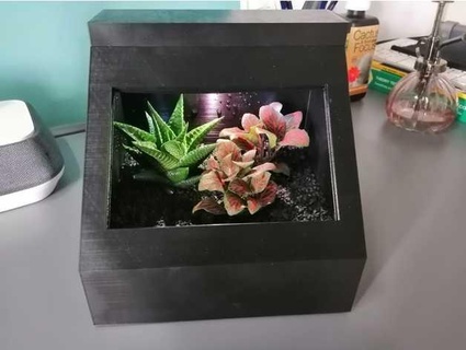 pianta terrario jackhorwell 3d print model - Mito3D