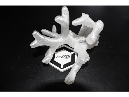 3d impressão coral re3dprinting 3d print model - Mito3D