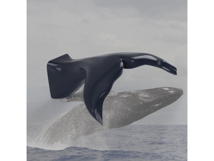 whale tail hat hanger konico 3d print model - Mito3D