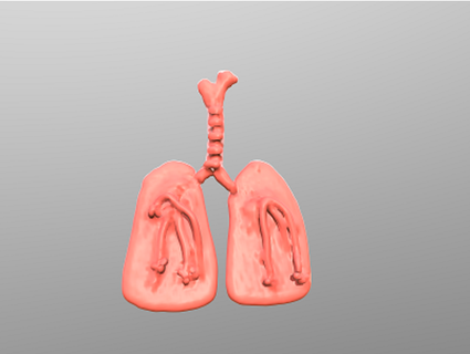 poumons Rothpat 3d print model - Mito3D