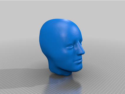 50th centile Humain Masculin tête analyse perlegreymusic 3d print model - Mito3D