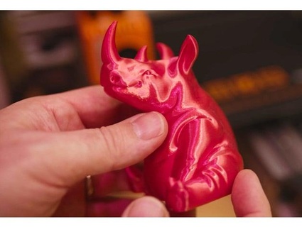 rinoceronte lecaramelo 3d print model - Mito3D