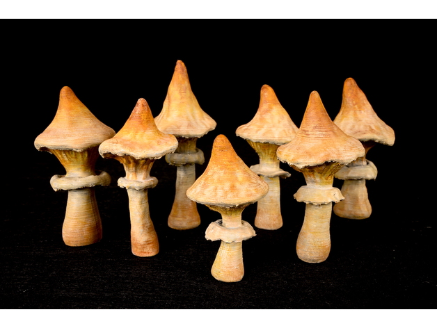 ubiquitous mushroom set 2 petal3d 3D print model - Mito3D