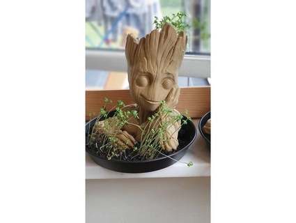 bébé Groot planteur liquidesinge 3d print model - Mito3D