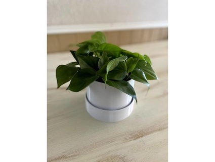 simple planter pot base pstevenson39 3d print model - Mito3D