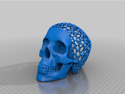 skull half voronoi daviddacreator 3d print model - Mito3D