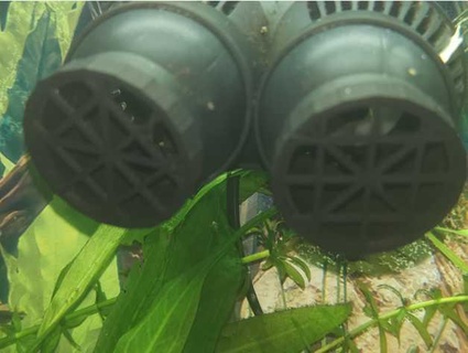 abdeckung str mungspumpe Aquarium 2 ausl sse fließen Pumpe Fisch Panzer Joker 3d print model - Mito3D