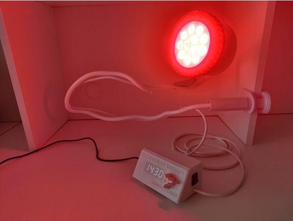 red light therapy lamp 12x3w led polihedron 3d print model - Mito3D