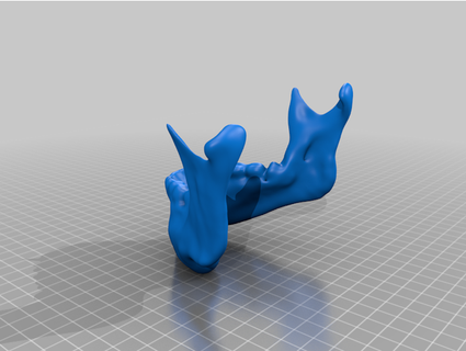 mandible - lower jaw bone jschillingl 3d print model - Mito3D