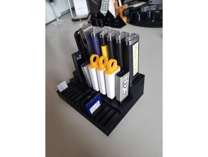 usb stick sd card organizador prostetnik 3d print model - Mito3D