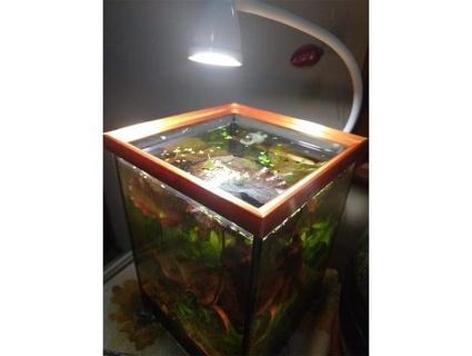 cover base 6 aquarium cube aurle 3d print model - Mito3D