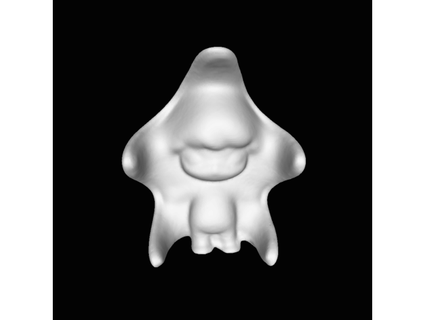 starfish generated revopoint pop 3d print model - Mito3D
