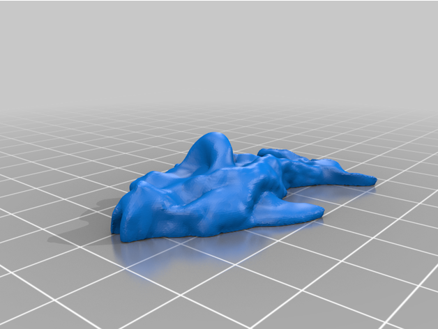 fun tropical fish drandrewthomas 3D print model - Mito3D