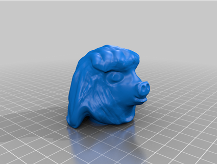 fun hairy pig head drandrewthomas 3d print model - Mito3D