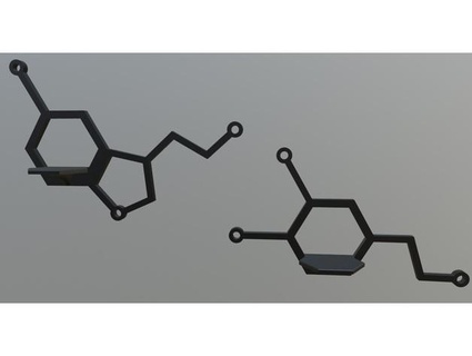 sérotonine dopamine étagères tomljr2 3d print model - Mito3D