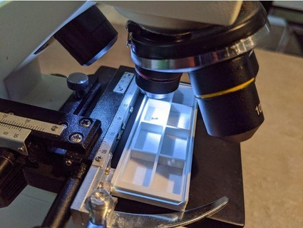 spécimen boîte microscope microscope faire glisser boîte plokr 3d print model - Mito3D