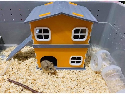 hamster kirpi Evcil Hayvan ev Geraldcarabeo 3d print model - Mito3D