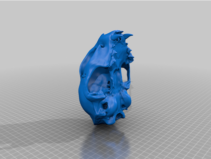 chat crâne selmoth 3d print model - Mito3D