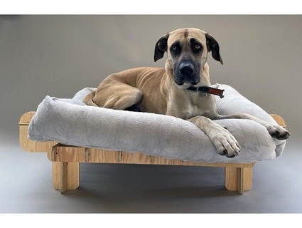 kutch - dog bed lifter ikea lurvig miocugino 3d print model - Mito3D