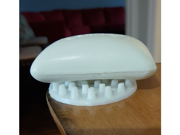 soap saver light festina3d 3D print model - Mito3D