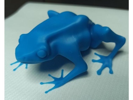 dendrobate frog menguy 3d print model - Mito3D